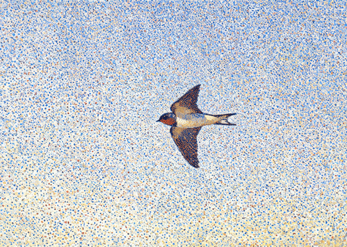 Una golondrina no hace verano, pero puede significar algo